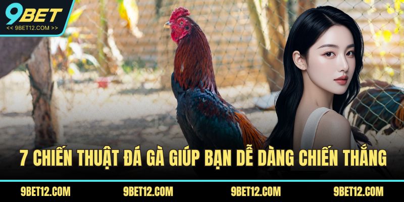 Chiến thuật đá gà