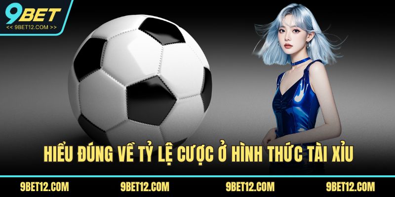 Giải Mã Tỷ Lệ Cá Cược - Chìa Khóa Mở Cửa Thành Công 4 Hiểu đúng về tỷ lệ cược ở hình thức tài xỉu