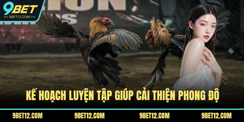 Kế hoạch luyện tập giúp cải thiện phong độ