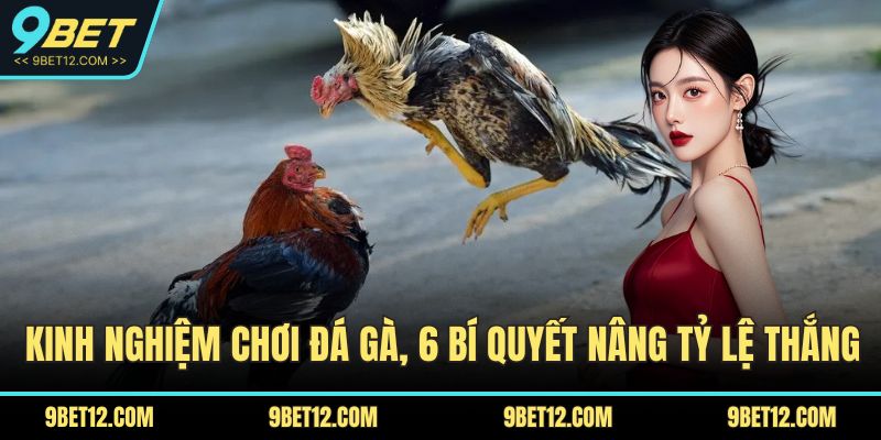 Kinh nghiệm chơi đá gà