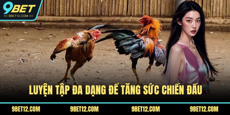 7 Chiến Thuật Đá Gà Giúp Bạn Dễ Dàng Giành Chiến Thắng 5 Luyện tập đa dạng để tăng sức chiến đấu
